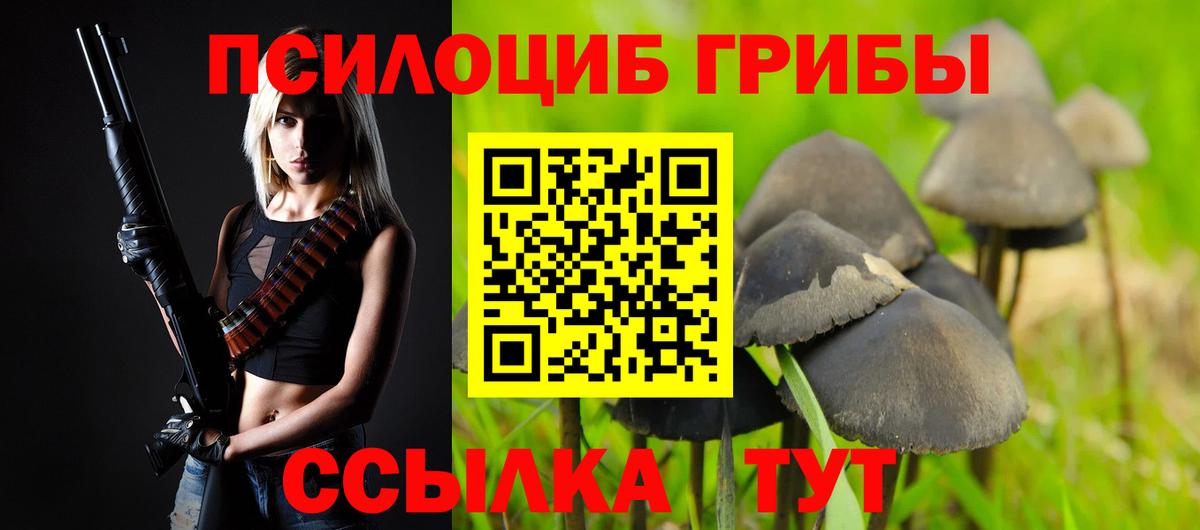 Галлюциногенные грибы Magic Shrooms  Вход с VPN  Зима 